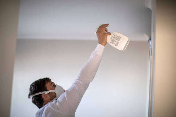 Best Mold Testing and Removal  in Avimor, ID